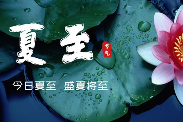茄子视频在线看木業 | 盛夏已至,滿目繁華