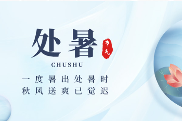 茄子视频在线看木業 | 暑退秋近,涼意徐徐